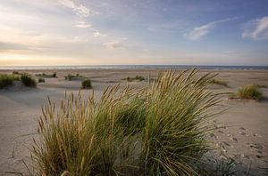 Ameland beach (3) sur Bo Scheeringa Photography