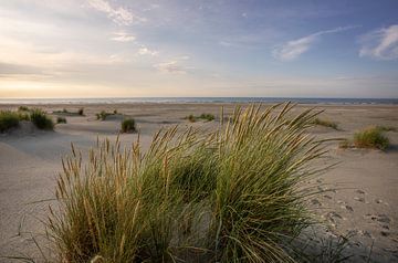 Strand van Ameland (3) van Bo Scheeringa Photography