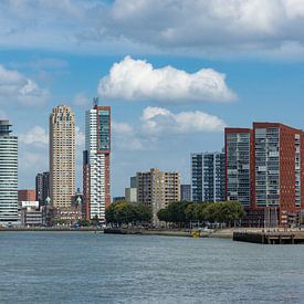 Skyline Rotterdam 028 van Onno Kemperman