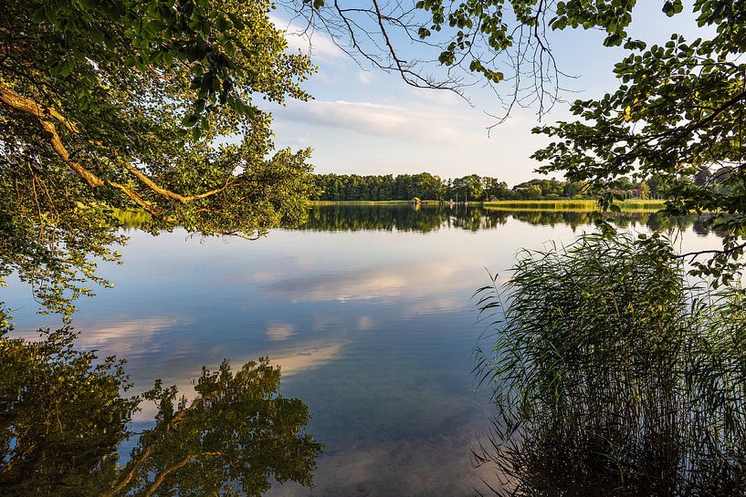 Lake view with trees in Seedorf am Schaalsee by Rico Ködder