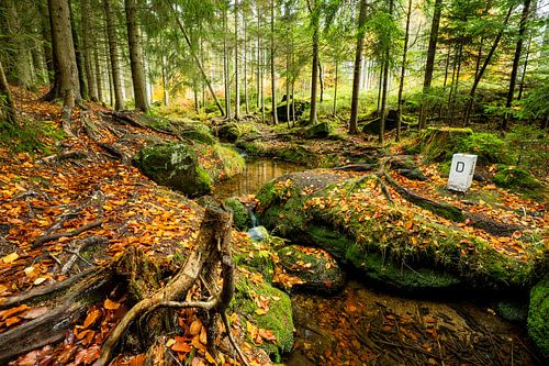 Petit ruisseau dans une forêt d'automne colorée sur Holger W. Spieker