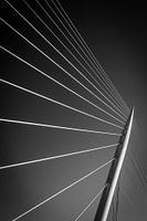 die Schrägseilbrücke