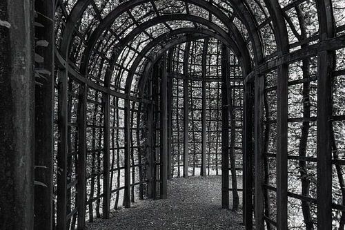 Berceau of loofgang in de tuinen van Het Loo