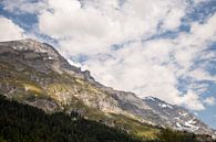 Zwitserse bergen van Sander de Jong thumbnail