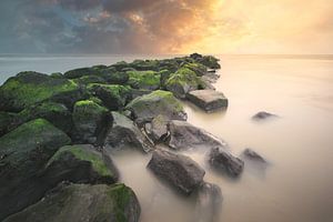 Coucher de soleil doré