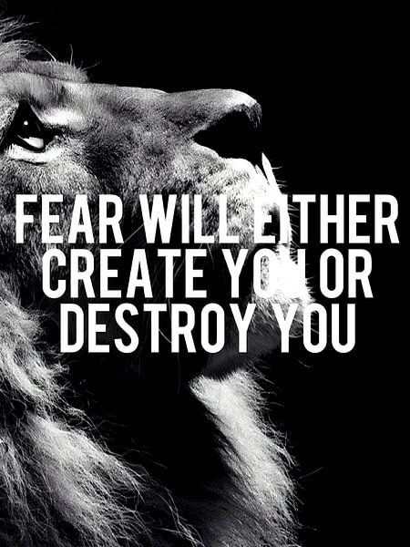 Löwe Tier Motivation von Quotes Motivation