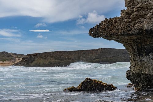 Branding at Klein Aruba