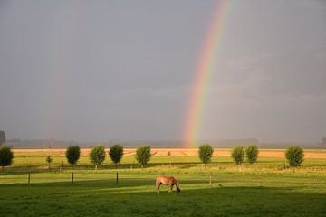 Regenboog in het veld by Robbert Van' t Noordende