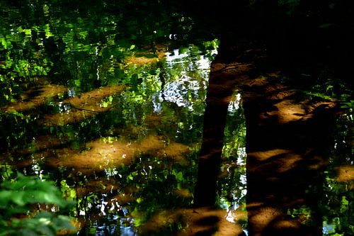 Zonreflectie in het water.