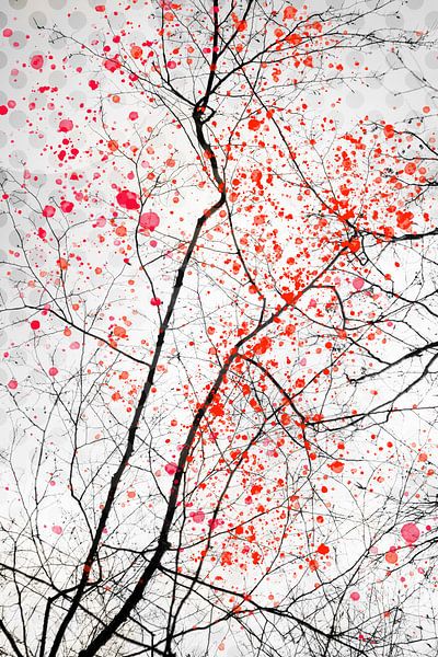 feuerblütenbaum 1 von Dorit Fuhg