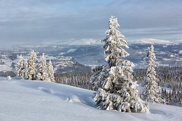 Winter in Noorwegen van Angelika Stern