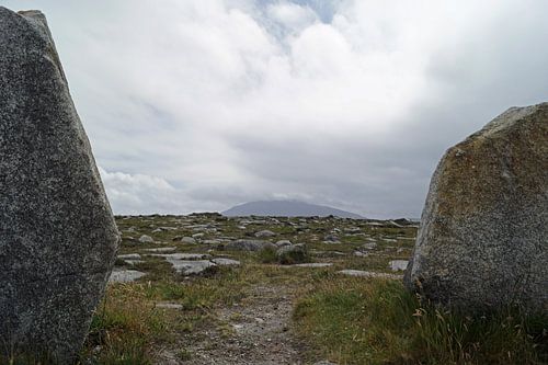 Deirbhiles Twist Ierland