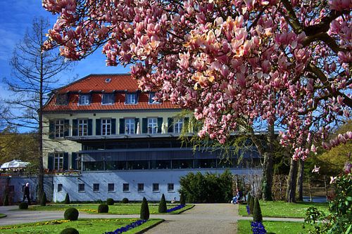 Berge Castle in Magnolia Blossom