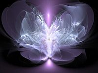 Angel of connection with the light