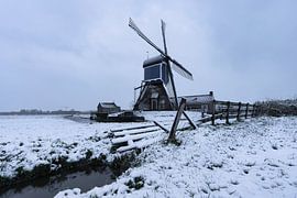 Winter Mill in Zoeterwoude
