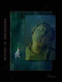 Das Schicksal ist unumkehrbar. von Han Overgaauw