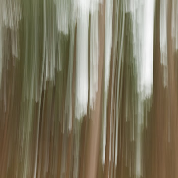 Dutch woods