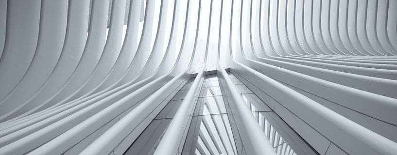 A panorama of the Oculus World Trade Center Transportation Hub station at Ground Zero in Manhattan,  by Bas Meelker