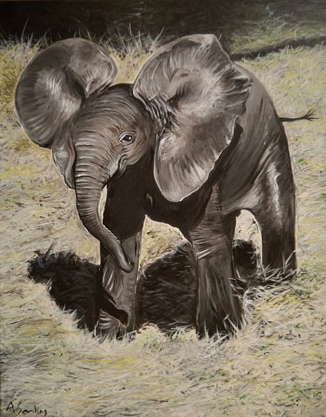 Baby elephant in the hay by Anja Semling