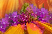 Flowers double