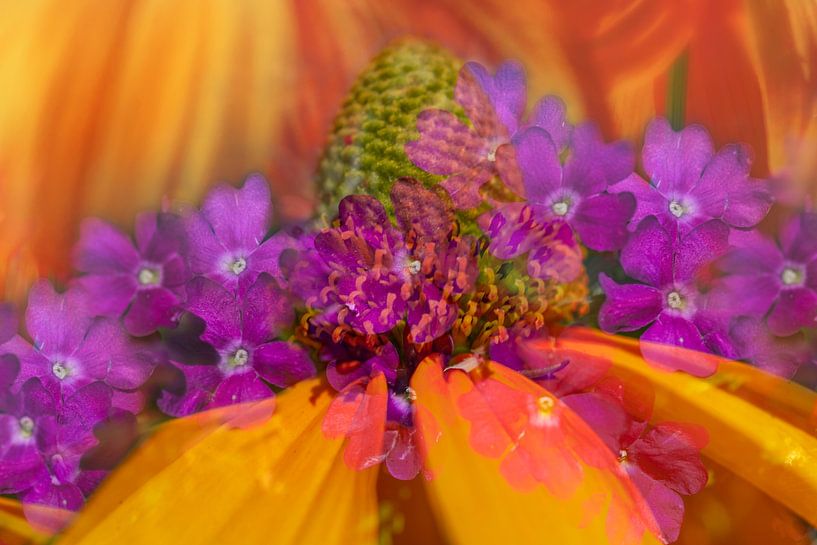 Flowers double par Stefanie van Dijk