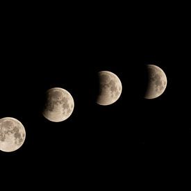 Lunar eclipse by Vincent Willems