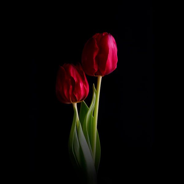 a young couple so close #012 by Peter Baak