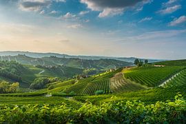 Die Weinberge der Langhe bei Sonnenuntergang mit dem Dorf Barbaresco von Stefano Orazzini