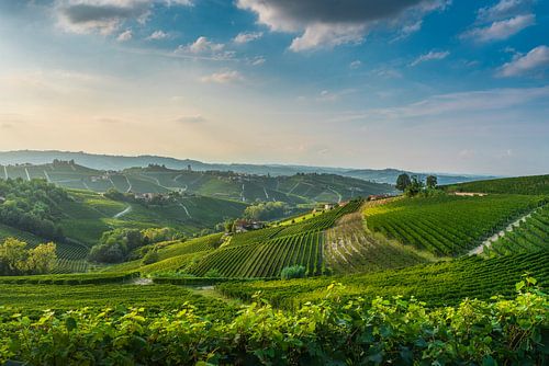 Les vignobles des Langhe au coucher du soleil, avec le village de Barbaresco