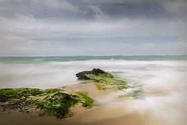 Wo Wasser auf Stein trifft von natascha verbij