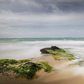 Wo Wasser auf Stein trifft von natascha verbij