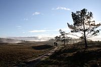 Mountainbikers in de Schoorlse duinen