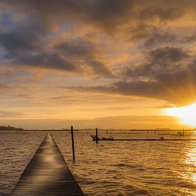 View of the Bird Island in the Black Lake by Wilko Visscher