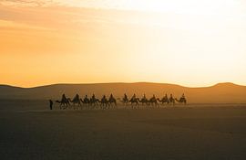 Under the Desert Sun by Frederik Opdeweegh