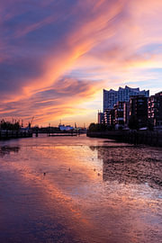 Feuer am Himmel: Spektakulärer Sonnenuntergang über der Elbphilharmonie von Nils Steiner