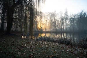 Hemmensebos part 60