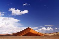 Dunes of Namibia van W. Woyke thumbnail