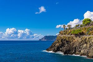 Rocher près de Manarola sur la côte méditerranéenne en Italie sur Rico Ködder