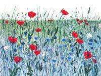 Sicco's Feld