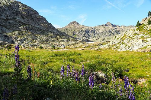 HRP & GR11: wilde Pyreneeën, avontuur en pure bergen. Koop nu indrukwekkende natuurfotografie als canvas of muurschildering - vrijheid op de paden van de Alpenpaden.