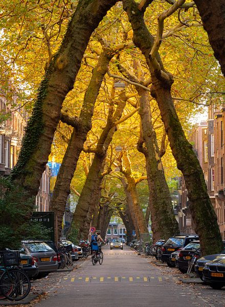 Herfst in een sfeervol historisch straatje in Amsterdam van Teun Janssen