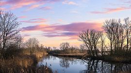 Zonsondergang Biesbosch Magie van Z6Focus