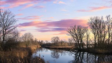 Sonnenuntergang Biesbosch Magic von Z6Focus