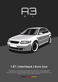 Audi A3 8L