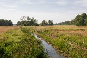 Deurzerdiep Rivier van Richard Wareham