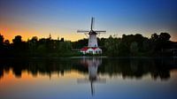 molen de drie kleur