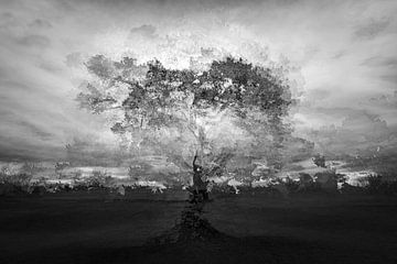 Beekhuizerzand mit Pep-Ventosa-Technik von Eddy Westdijk