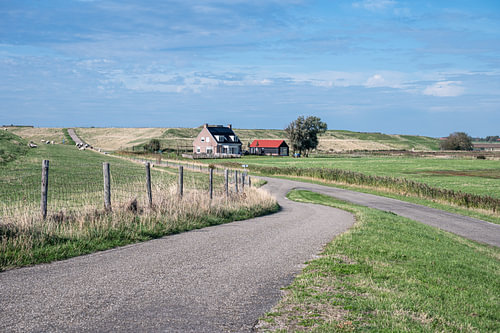 Houses in the green countryside