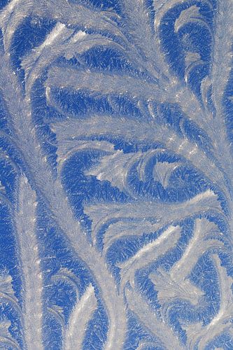 Skurrile Eisstrukturen auf gefrorenem Fenster