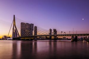 Le pont Erasmus au lever du soleil. sur Trudiefotografie